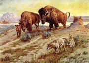 unknow artist Buffalo Family oil painting picture wholesale
